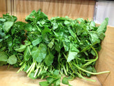 Fresh WATERCRESS $-Each