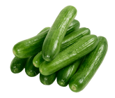Fresh CUCUMBER $-EACH
