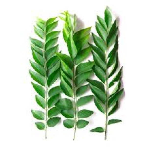 Fresh CURRY LEAVES SMALL PKT $/Each