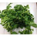 Fresh WATERCRESS $/Each